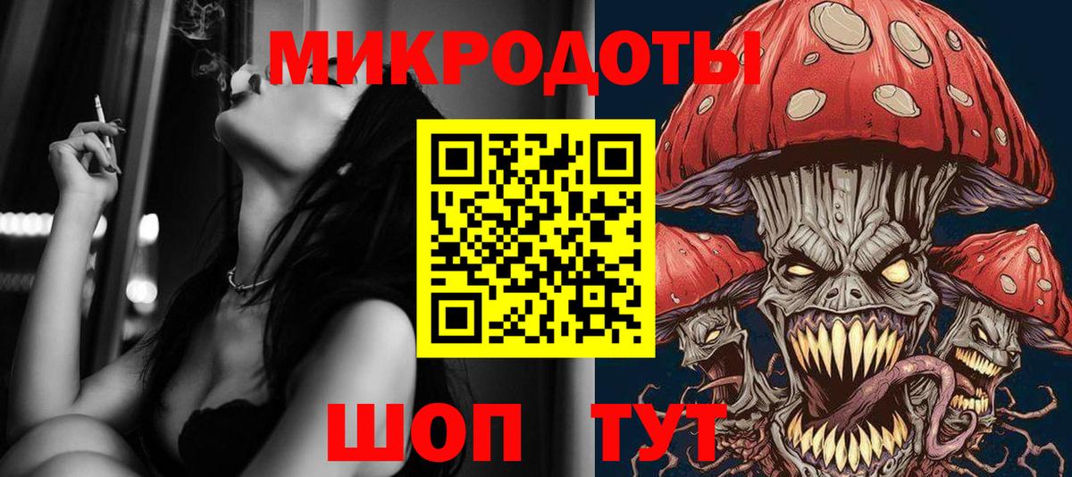 Псилоцибиновые грибы Psilocybe Старый Оскол